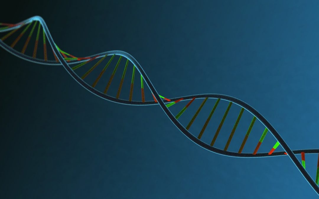 Povezanost majčinog emocionalnog stanja u trudnoći i placentarne metilacije DNA gena uključenih u regulaciju serotoninske signalizacije